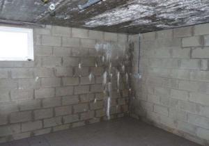 Humidité mur de cave